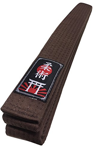 Budodrake Ju Jutsu/Jiu-Jitsu Gürtel braun (300)