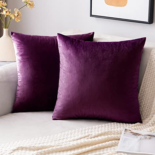 EMEMA Samt Kissenbezug Kissenhülle 40x40 cm Dekorative Dekokissen Aubergine Lila Sofakissen Lendenkissen Wurfkissenbezug mit Verstecktem Reißverschluss Schlafzimmer Sofa 2er Set