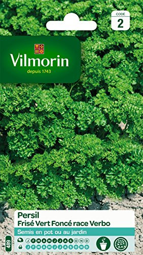 Vilmorin 3805042 Pack de Graines Persil Frise Race Verbo Sélection