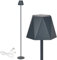 Clauss LED-Stehleuchte mit Akku via USB aufladbar, kabellos, mit Dimmer, aus Metall für Innen und Außen, IP54, grau, 10015