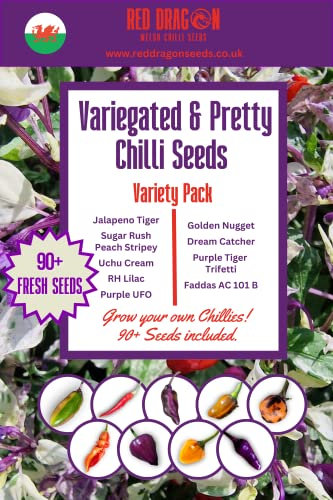 Chilli Seeds - Variety Pack - Beautiful, Variegated and Pretty Chilli Pepper Seeds - 9 Special Chilli Varieties with 90+ Seeds