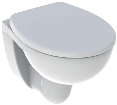 GEBERIT GEB00672 Pack WC Suspendu à Fond Creux Bastia Compact Rimfree avec abattant GEBERIT-501.894.00.1