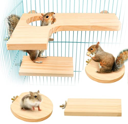 bangminda 5pcs Piattaforma per Criceti e Scoiattoli - Gioco per Criceti e Uccelli con Arrampicata e Parco Giochi in Legno