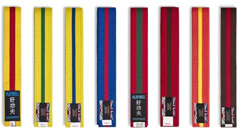 Playwell Martial Arts Cotton Coloured Belt With Various Coloured Stripes Grading Belt - (Karate, Judo Taekwondo) (Green Belt With Blue Stripe, 280cm)