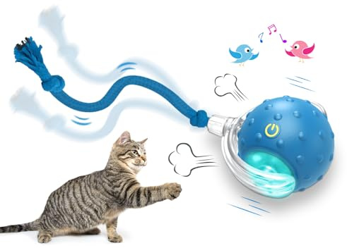 Giociv Interactive Cat Toys Ball for Indoor Cats Fast Rolling on Carpet, Chirping & Motion Activate Cat Toys (Blue)