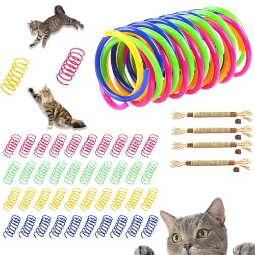 agogue 44 stycken spiraler kattleksaker, spiraler, kattleksaker, kattleksaker, tandborstflingor för katter, tandvård, leksak, katt, set med 40 fjäderspiraler och 4 tandpetare