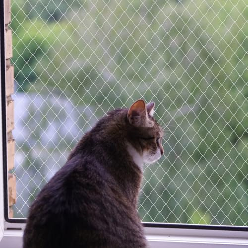 heqxwl Nylon Katzenschutznetz Katzennetz für Balkon Ohne Bohren Transparent Können Zuschneidbar ​und Bissfest Balkonnetze für Katzen ​zur Absicherung von Terrasse, Fenster und Türen (3x5 m)