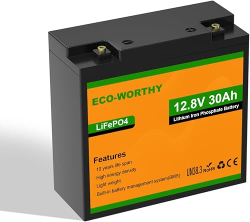 ECO-WORTHY LiFePO4 batteri 12 V 30 Ah med BMS-skydd och max. 15 000 cykler, 384 kWh litium campingbatteri 12 V 30 Ah för husbilar, trolling-motor, båt