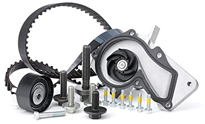 INA 530 0495 30 vattenpump + kuggremssats