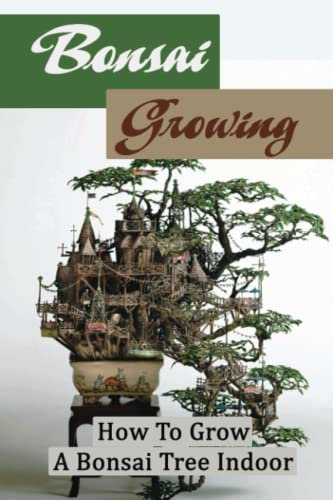 Bonsai Growing: How To Grow A Bonsai Tree Indoor