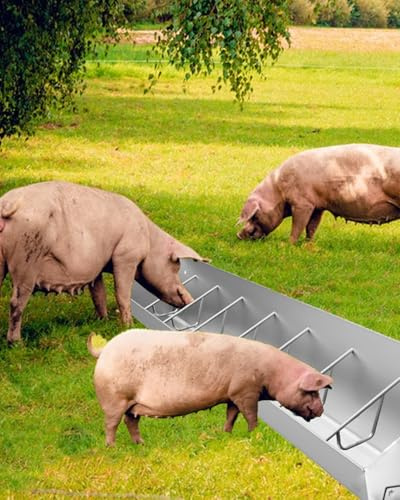 Livestock Feed Trough, Outdoor Galvanised Pig Waterer Bottle, Farm Feeder for Sheep, Horses, Alpacas, 5-10 Pigs