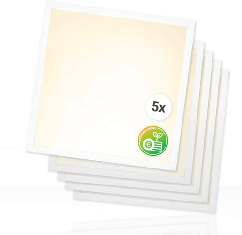 Xtend EcoLight 5x LED Panel 62x62cm 4000K 25W Rasterleuchte 4500lm flimmerfrei Deckenleuchte Energieeffizient Netzteil BLs2.0