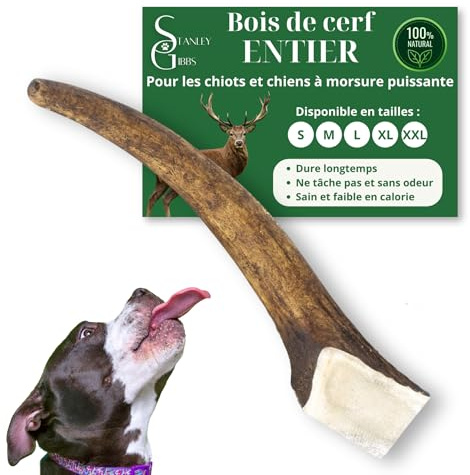 Bois de cerf pour Chien a Macher Entier (1 pièce). Friandise pour Chiots et Chiens de Tout âges. Jouet Occupation. Jouet de Mastication. Soins Dentaire idéal (S)