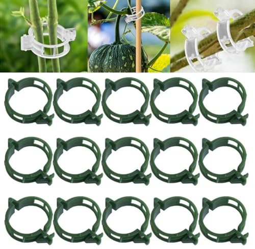 Gesicherte Pflanzen Kunststoff Clips, 2025 Neue Pflanzenclips, kleine Pflanzenklammern für Kletterpflanzen, Premium Tomatenklammern Pflanzenstütze für Tomaten, Gurken und Gemüse (200, Grün)