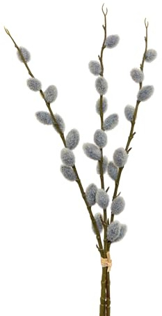 Seidenblumen Roß 3er-Bund Weidenkätzchen Nature 46cm FT künstlicher Weidenkätzchenzweig Salix Palmkätzchen