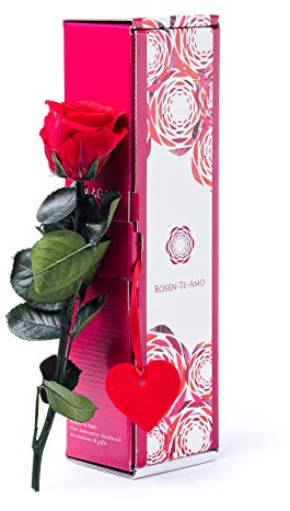 Rosen-Te-Amo | Infinity Rose am Stiel - Rosenduft |Echte Rose Valentine Edition in Geschenkbox |Geburtstagsgeschenk für Frauen|Konservierte Blume zum Weihnachten, Valentinstag, Mama, Dekogeschenk