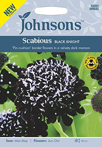 Johnsons SCABIOUS Black Knight