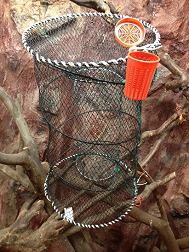 Machermann Nr.53 Köderfischreuse 50x120 cm, Fischreuse, Faltbare Reuse - Inklusive Köderdose,Krebsreuse, Aalreuse