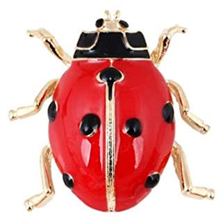 Broche pour femme dans une pochette cadeau - Bijou insecte, Métal