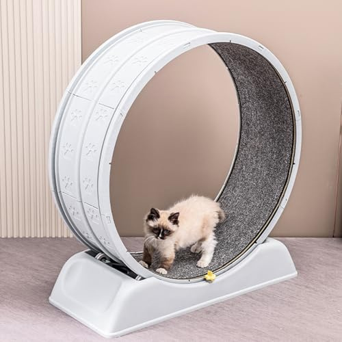 Cat Exercise Wheel, Large Cat Treadmill Wheel for Indoor Cats,Exercise Running Wheel with Carpeted Runway and Lock for Indoor Cats