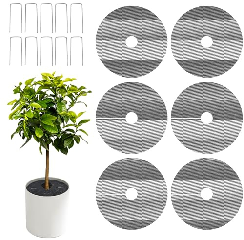 Bekeify 6 Piezas 40 CM Protector de Macetas con 10 Clavos en Forma de U Rejillas para Macetas Cortable Rejilla Protección de la Planta para Protección de Seguridad para Niños Gato