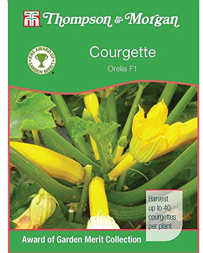 Thompson & Morgan - RHS Courgette Orelia F1 Hybrid - 6 Seeds