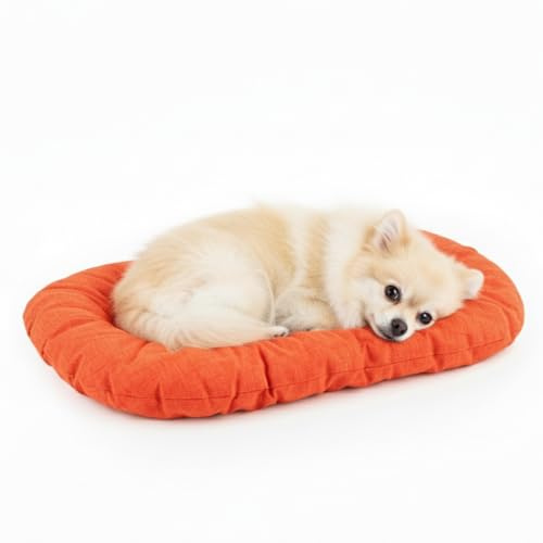 Natural Exit - Letto e Cuscino per Cani e Gatti da Interno, Morbido, Design Confortevole in Tessuto Resistente – Cuccia per Cani da Interno in Varie Misure e Colori (Arancione, 70x48x9)