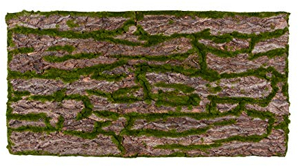 Terrarium Rückwände unterschiedliche Design Rinde