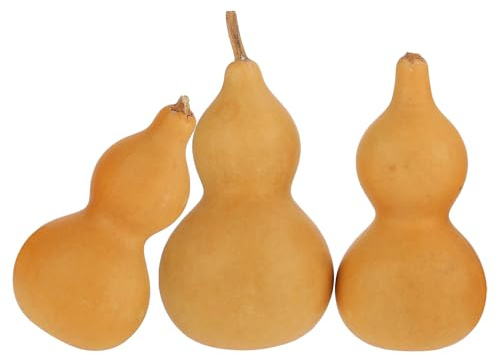 FELTECHELECTR 3 Piezas de Adornos Naturales en Forma de Calabaza, Decoración Artesanal de Escritorio para Manualidades y Ambientación del Hogar
