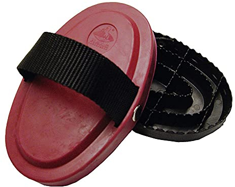 Haas Striegel ''New Gerneration''