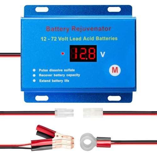 Segniwale Le désulfateur de batterie régénérant reconditionné ravive la capacité de 12 24 36 48 60 72 V batteries plomb-acide BR12-72-600