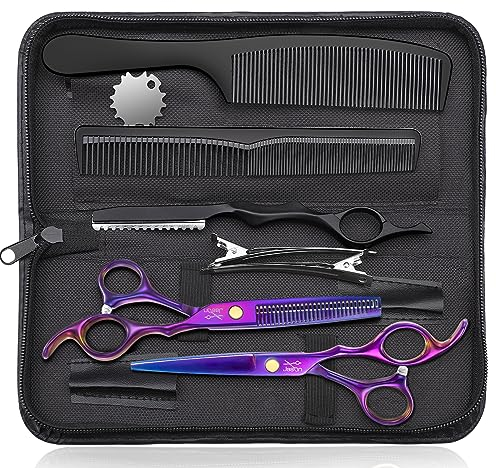 JASON Friseurscheren Profi - Haarschneideschere&Effilierschere 6.5 Haarschere Friseurschere für Friseur/Anfänger, Lila