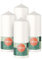 Bolsius - Velas de pilar lisas - blanco - paquete de 4-15 x 6 cm - velas decorativas para - duración de combustión 42 horas - sin perfume - cera vegetal natural - sin aceite de palme