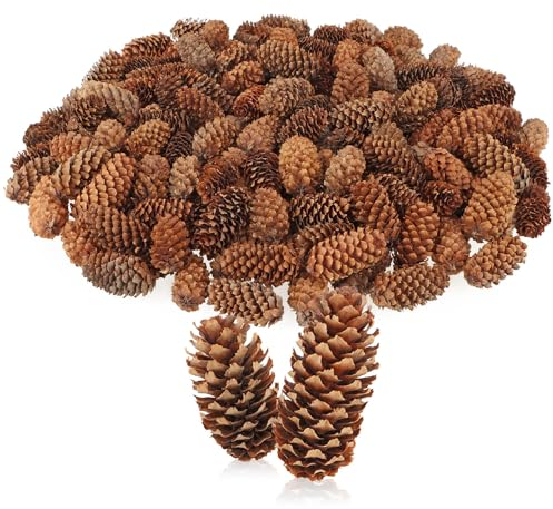 com-four® 200x Deko-Tannenzapfen - Streudeko für Herbst und Winter - Zapfendeko - kleine Pinienzapfen - natürlicher Weihnachtsschmuck - rustikale Tischdeko (200x Kiefernzapfen klein)