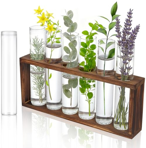 7 Piezas Tubo de Ensayo Transparente, Estación de Propagación Hidropónica 30 X 150 Mm, Tubos de Vidrio, Tubos de Ensayo, Jarrones Decorativos Modernos Jarron con Soporte de Madera para Flores Especias