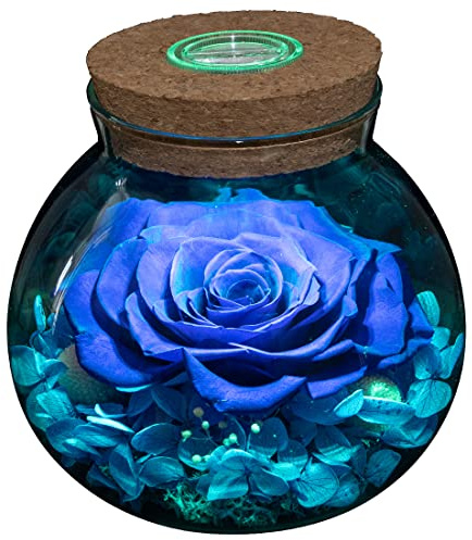 roliys Preserved Real Roses with Colorful Mood Light Wishing Bottle, Eternal Rose，Never Withered Flowers, Table Decor,Christmas Anniversary Valentine's, Blue 4.3inch, 1pcs