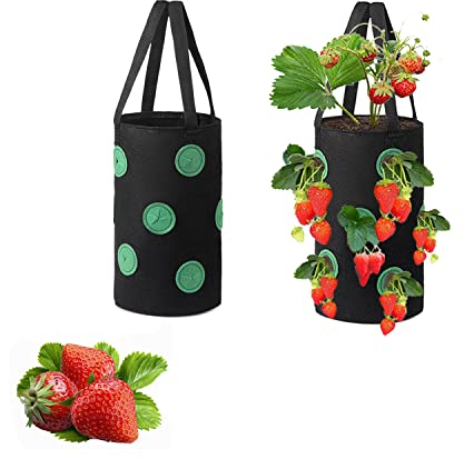 Yhuasia 2 Pièces Fraises Sac Culture Respirant, Sac Plantation Jardin, Conteneurs Culture de Légumes, 12 Trous Non Tissé Plante Panier Suspendu pour Les Fraises, Les Herbes, Les Légumes et Les Fleurs