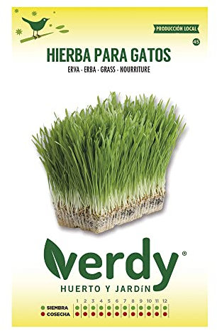 SEMILLAS FLOR PENSAMIENTO VARIADO SOBRE