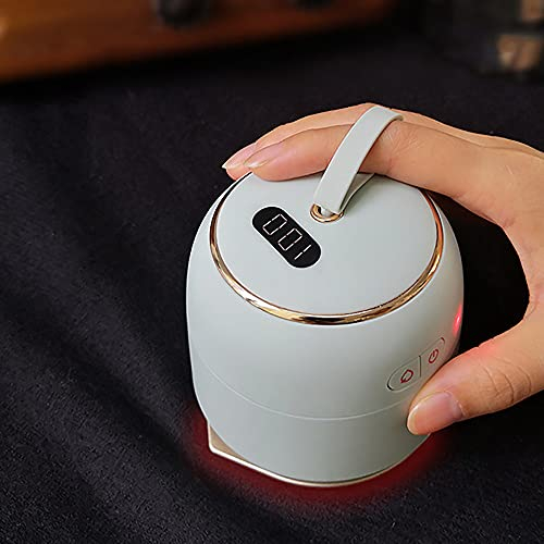 LJJ Cordless Iron Mini Electric Iron, Portable Handheld 30 ml Water Tank Steam Iron, Wet and Dry Ironing Machine for Any Fabrics,White