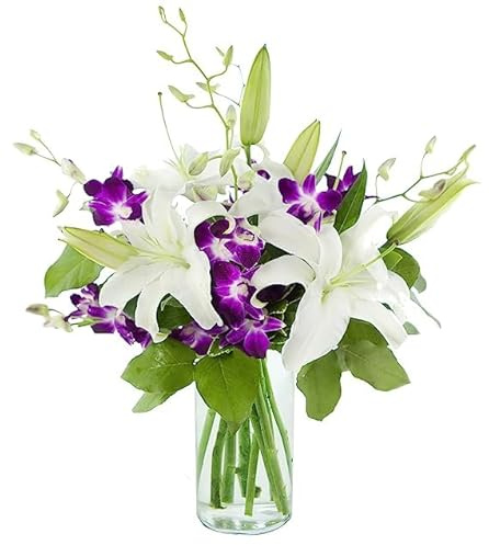 KaBloom - Tranquil Sympathy Harmony Bouquet of 3 White Oriental Lily 5 Purple Orchid 3 Israeli Ruscus With Vase- Fresh Flowers for Birthday, Valentine's & Mother's Day