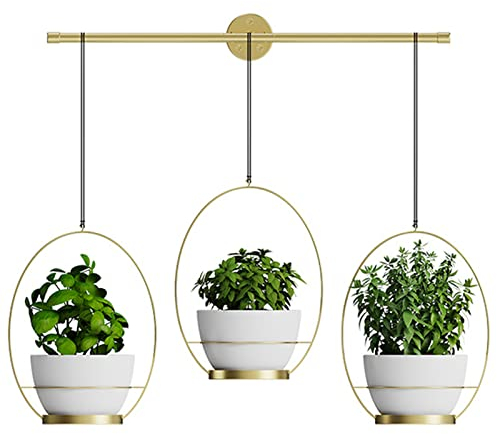 Qikam Hängende Blumenampel Pflanzenhänger Modern Deko Blumentopf Metall Pflanzen Halter Aufhänger Für Innen Außen Decken Balkone Wanddekoration (ohne Blumentopf)