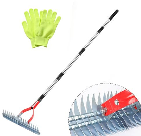 Thatch Rake, 15-Inch Wide dethatcher rake for Cleaning Dead Grass, Adjustable Dead Grass rake for Yard Lawn,thatch rakes for lawns with Stainless Steel Handle, Yard dethatcher rakes, 70-Inch Length.