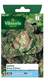 Vilmorin - Sachet graines Laitue Brune d'hiver
