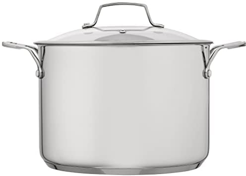 Stellar Stainless Steel Stockpot with Vented Glass Lid and Twin Handles, 24cm, 6L, Induction Ready, Oven Safe, Dishwasher Safe
