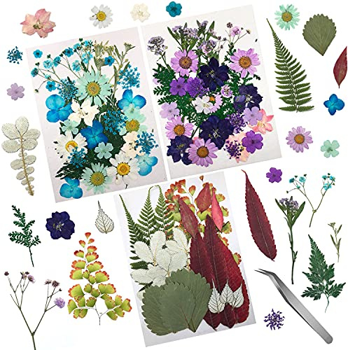 Cinvo 90 Pcs Real Dried Pressed Flowers and Leaves Natural Dried Petals for Candle Resin Jewelry Soap Nail Pendant Phone Case Crafts Making Floral Decors Scrapbooking DIY(Blue, Purple, Pink, Green)