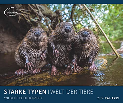 PALAZZI Starke Typen Posterkalender 2024, im Format 60 x 50 cm, Monatskalender zum aufhängen, Kalender mit Bilder majestätischer Tiere: Wildlife Photography