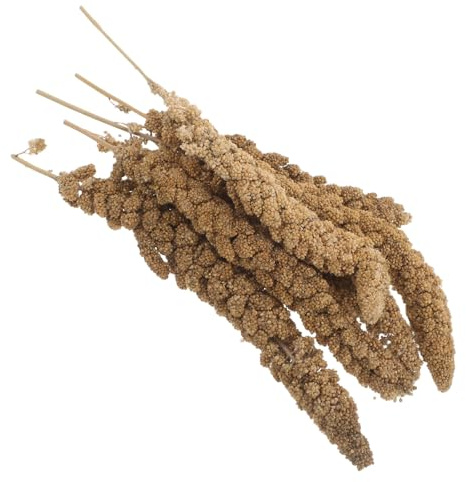 YOSADIER Millet en Épis 500g pour Oiseaux – Nourriture pour Canaris et Mandarin – Collation d'Entraînement pour Oiseaux en Volière
