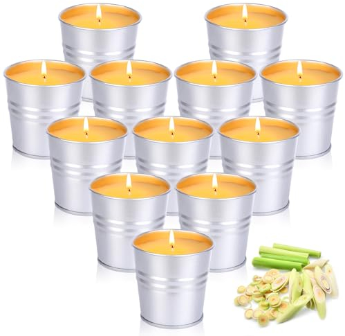12 Stück Citronella Kerze Outdoor, Teelichter im Metalleimer, 120-180 Brennstunden Natürliches Sojawachs Citronella Duftlichter Zitrone Teelichter Kerzen Outdoor Indoor für Terrasse,Garten,Camping