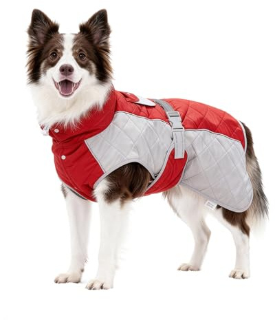 BECROWM Dog Coat Dogs Winter Coat Fleece Lined,Water-Resistant,Convertible Collar,Back Reflective Strip&Easy to Wear for Outdoor Walking Dog-Jacket(Red, Medium)