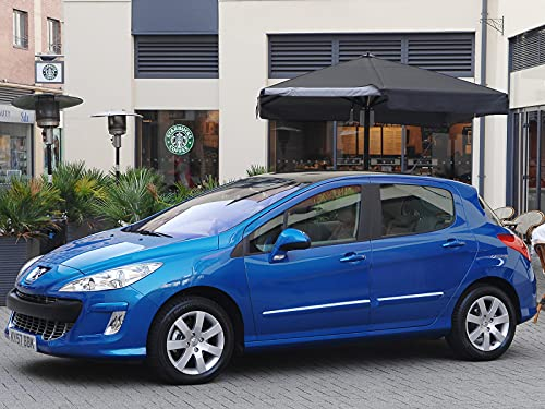 Luxyline Baguette de Protection latérale chromée pour Peugeot 308 07-13